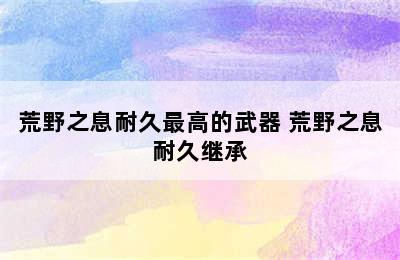 荒野之息耐久最高的武器 荒野之息耐久继承